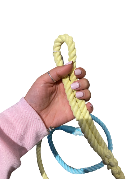 Ombre Yellow & Blue Rope Lead