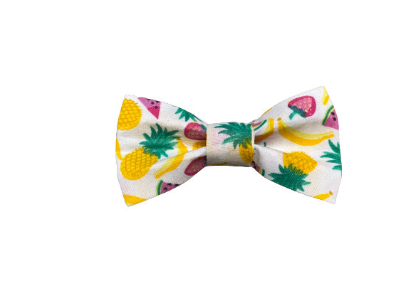 Tropical Handmade Bow