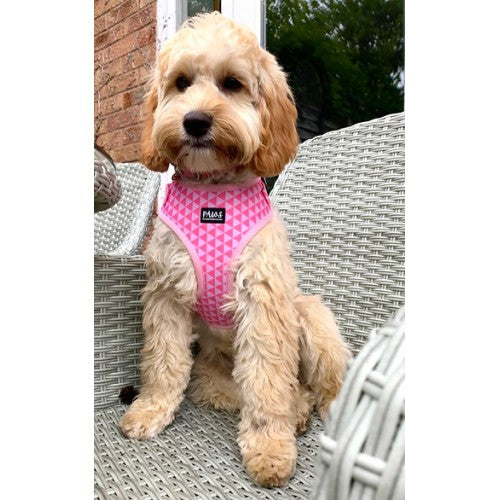 Paws Pink Quartz - Adjustable Harness