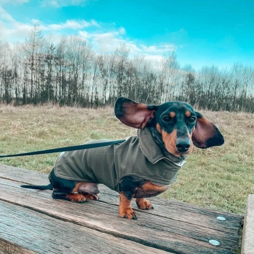 Olive Waterproof Jacket with Fleece Lining
