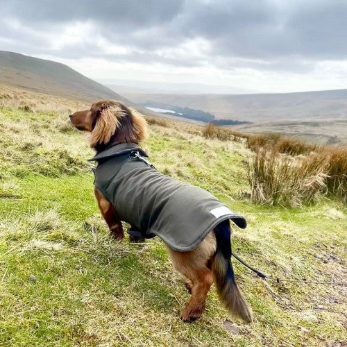 Olive Waterproof Jacket with Fleece Lining