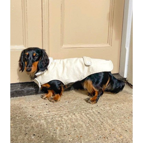 Beige Corduroy Jacket with Borg Collar