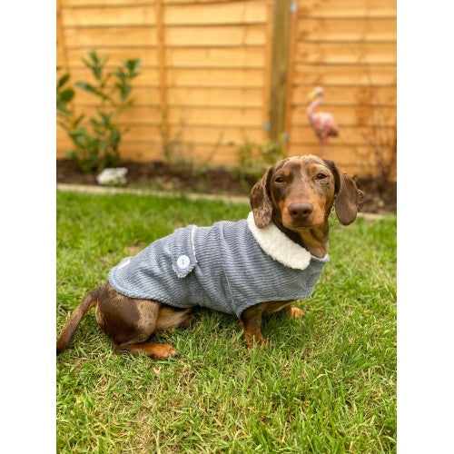 Dusty Blue Corduroy Jacket with Borg Collar