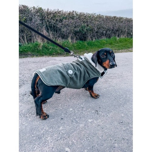 Forest Corduroy Jacket with Borg Collar