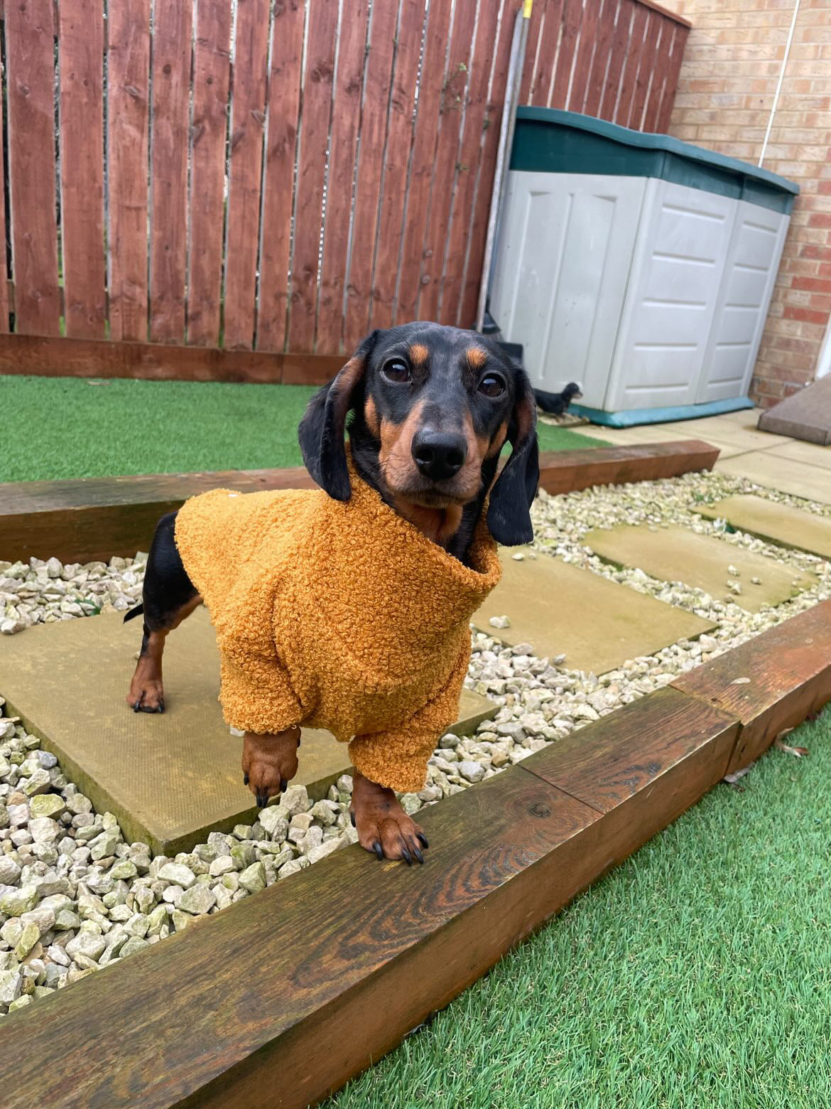 Mustard Borg Cosy Jumper