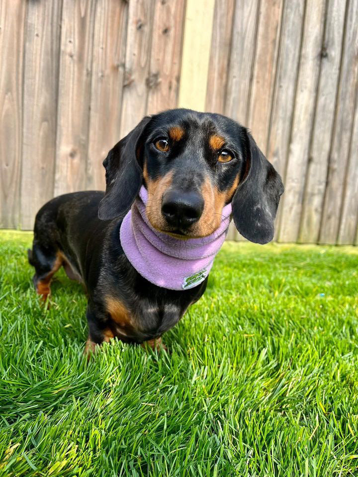 Lilac Fleece Snood