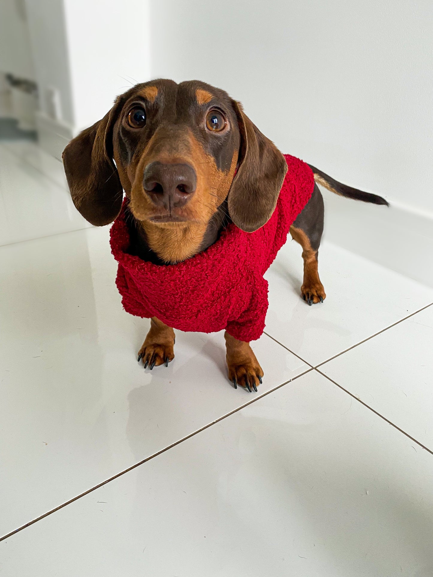 Red Wine Borg Cosy Jumper