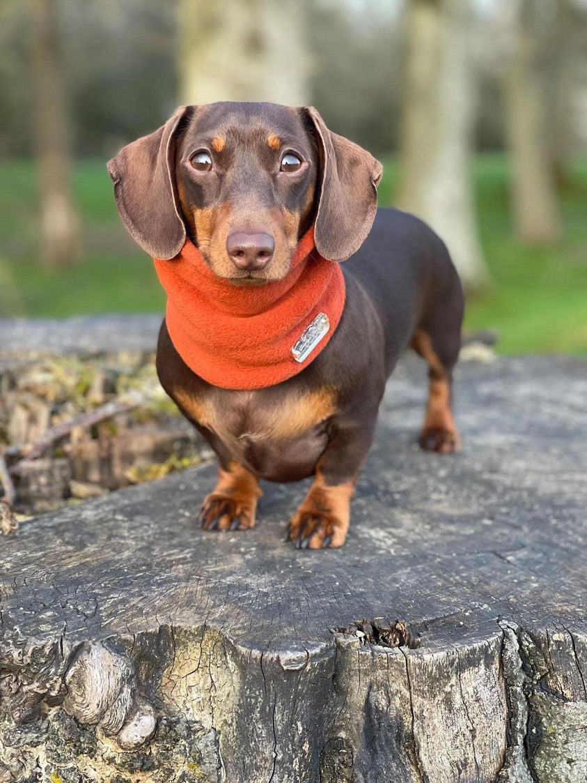 Rust Fleece Snood