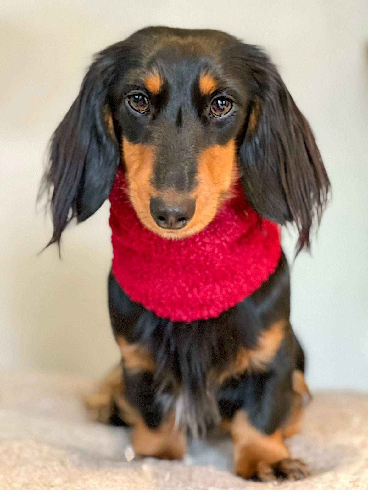 Red Wine Borg Snood