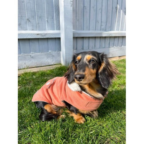 Salmon Corduroy Jacket with Borg Collar