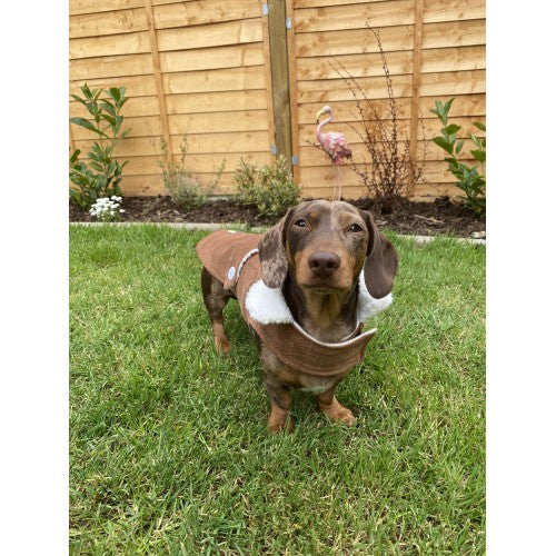 Tan Corduroy Jacket with Borg Collar